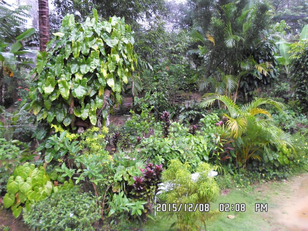 Peters Inn Ella Luaran gambar
